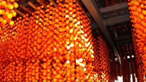 "수라상에 오른 명품 간식"…제15회 함안곶감축제, 23일 개막