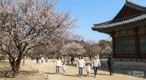 "초반 포근, 중반 동해안 눈"…설 연휴 날씨 전망 한눈에