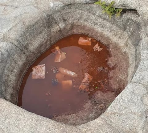 "정기 맛집이 쓰레기 맛집으로"…관악산 감로천, 라면국물 웅덩이 논란 확산