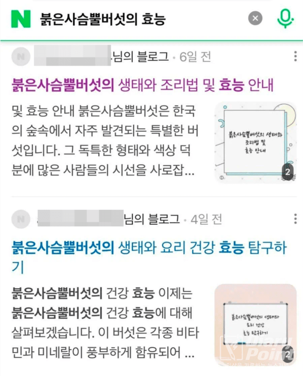 사진=네이버검색결과캡쳐