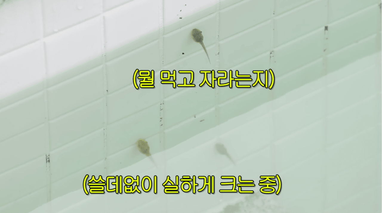 사진=유튜브 채널 '한혜진' 캡쳐