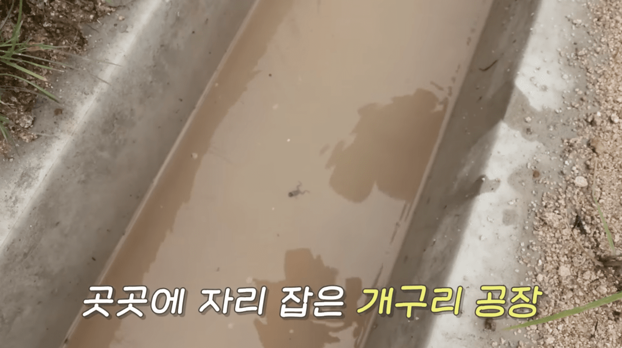 사진=유튜브 채널 '한혜진' 캡쳐