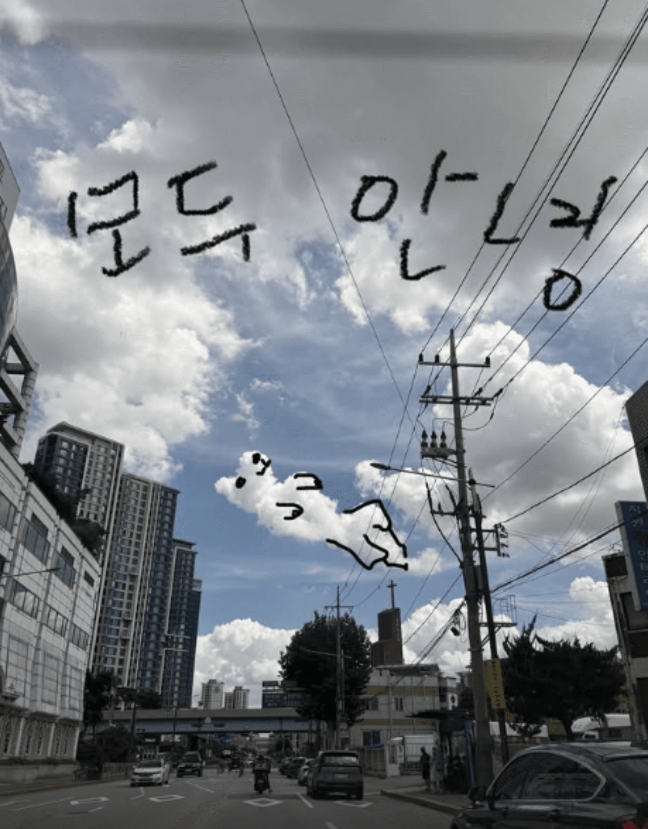 사진=이효리 인스타그램