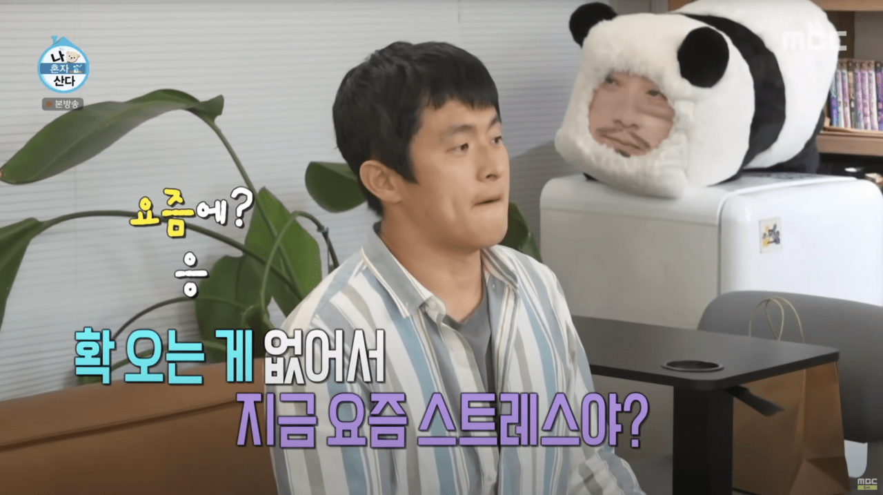 사진=MBC '나혼자산다' 갈무리