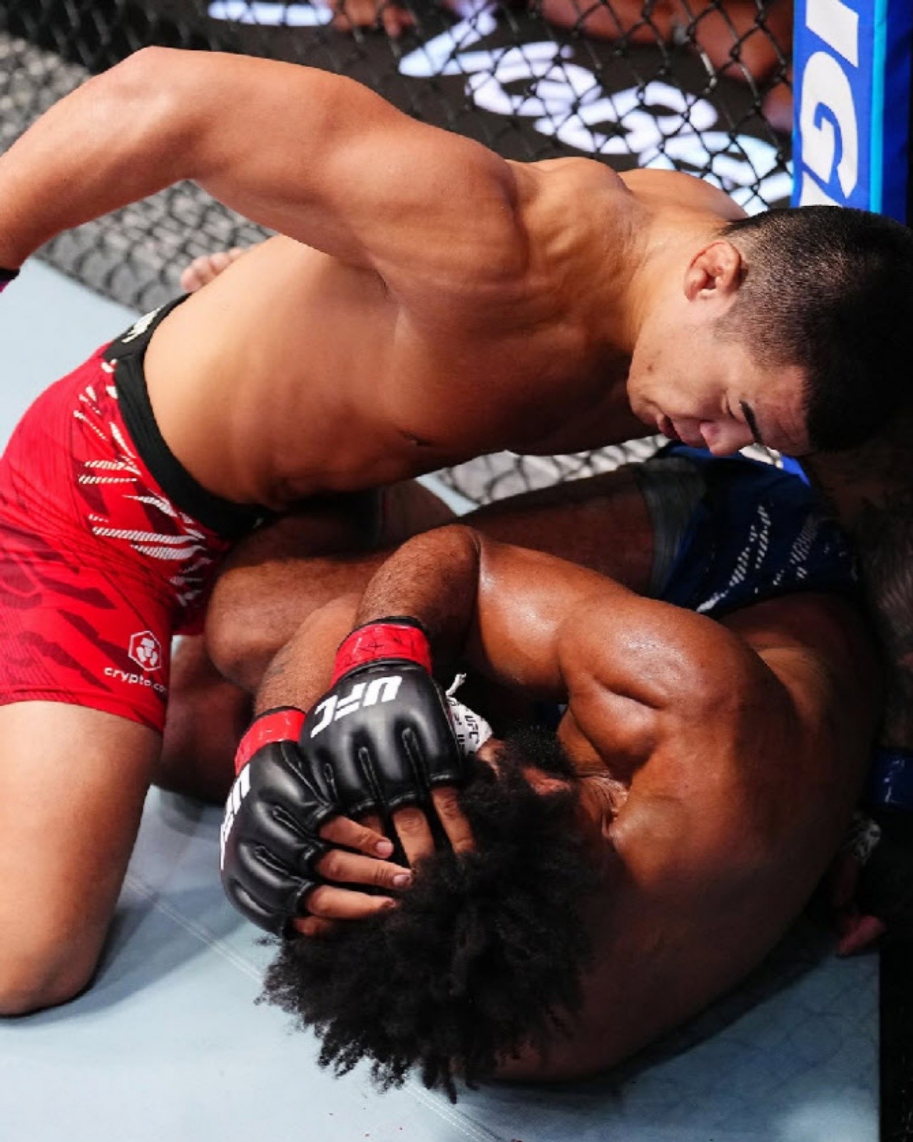 사진=UFC