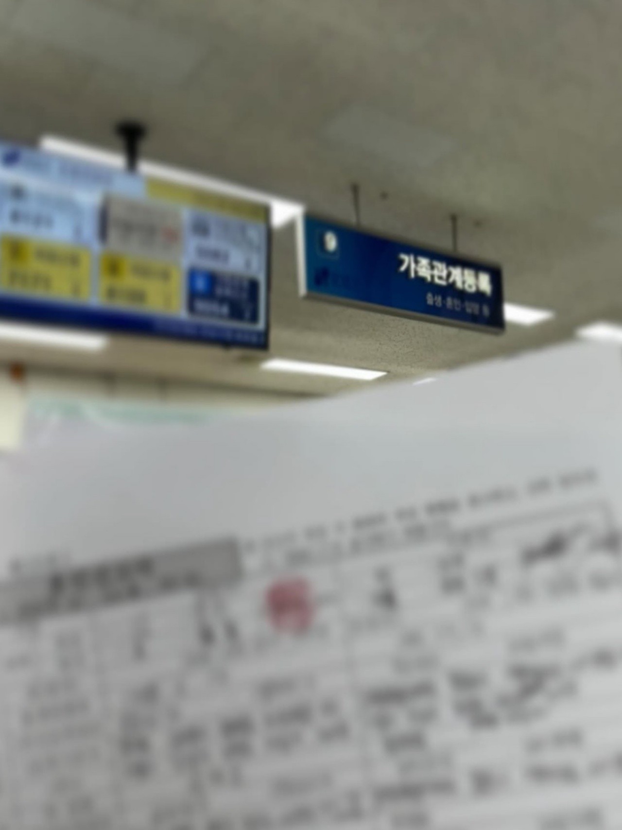 사진=장미 인스타그램