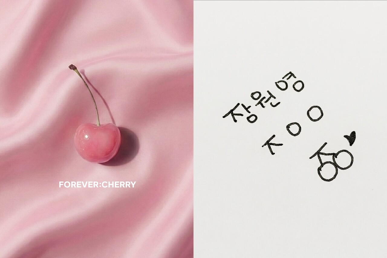 사진=포에버체리 인스타그램