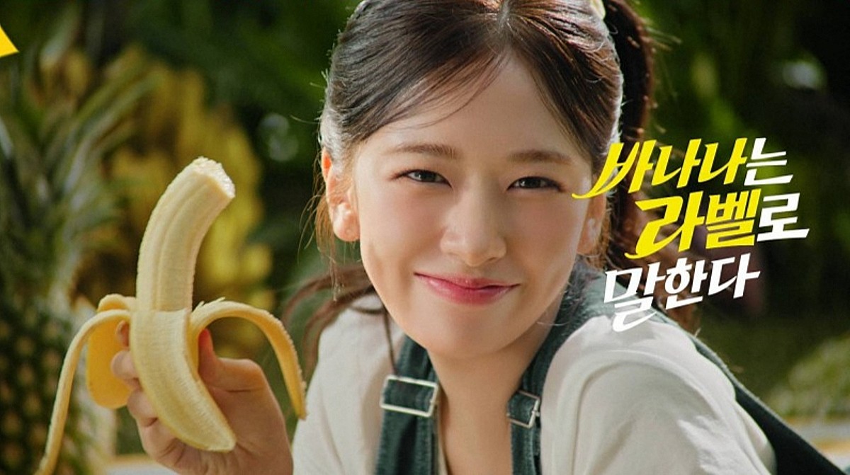 사진=돌코리아