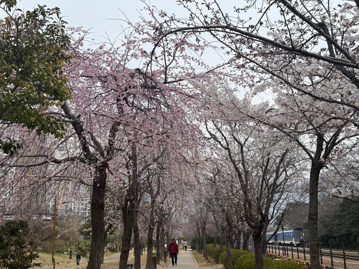 사진=창원시