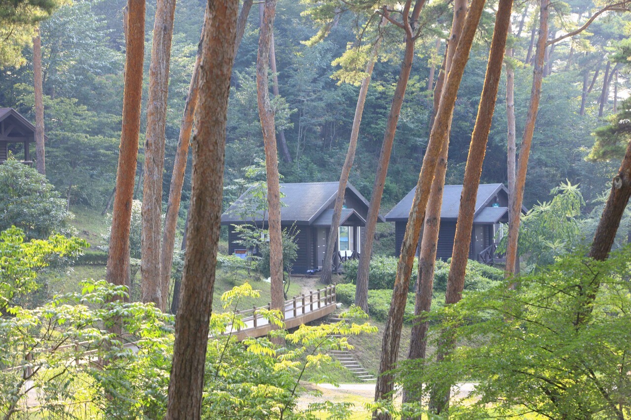 안면도 자연휴양림 | 사진=한국관광공사