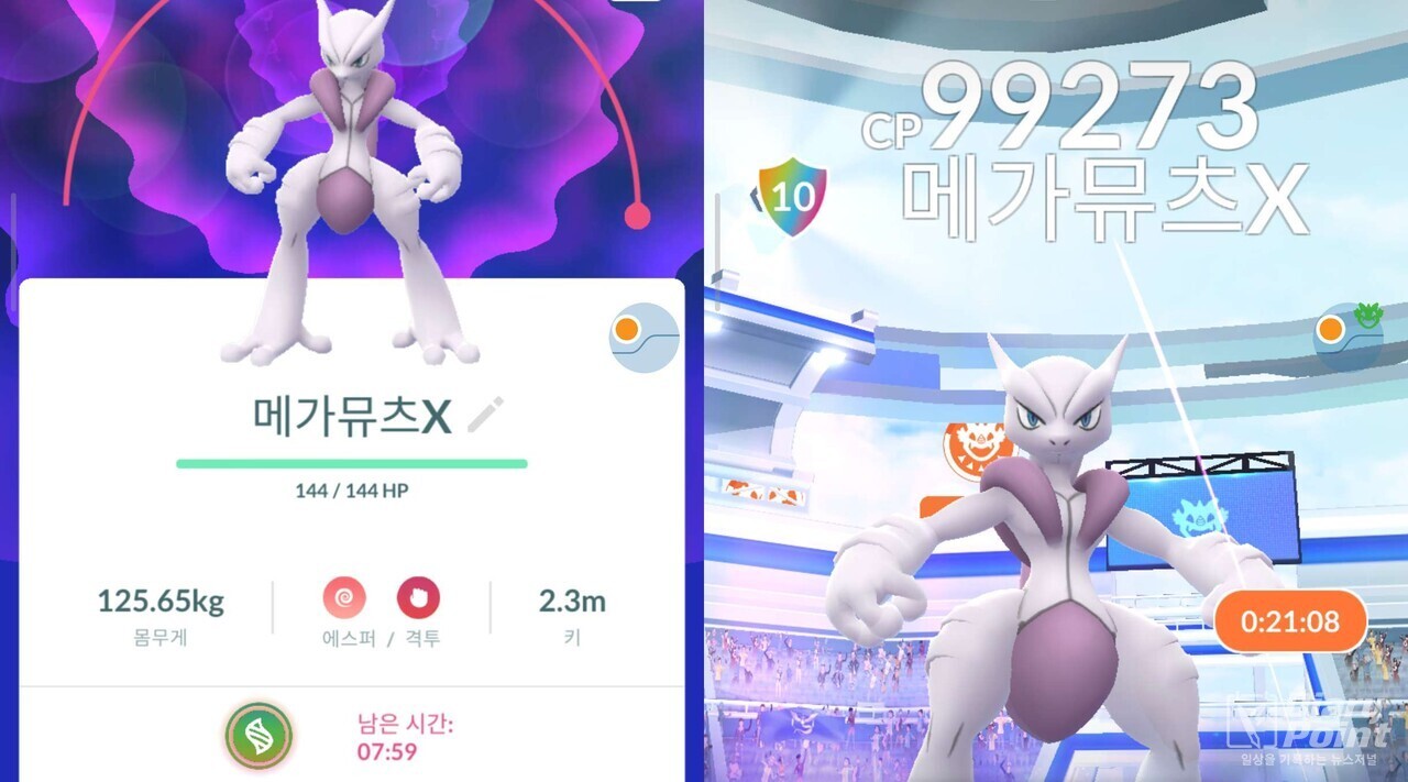 "뮤츠 첫 메가진화" 잡아라…포켓몬고 페스트 2026, 토요일 X·일요일 Y 등장